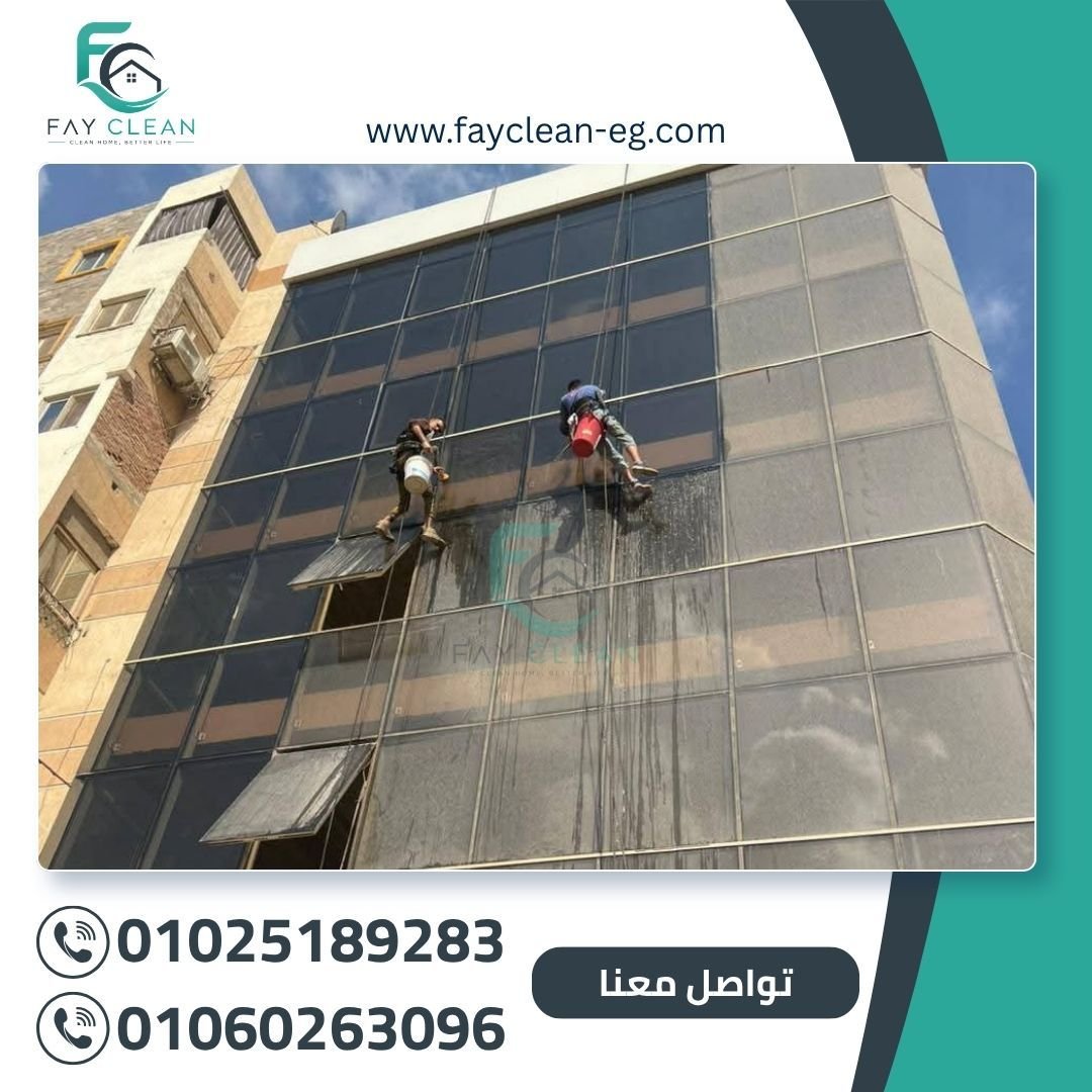 أعمال فاي كلين 3